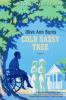 Book cover for "Cold Sassy tree"