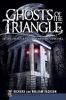 Book cover for "Ghosts of the Triangle"