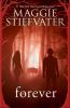 Book cover for "Forever".