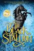 Book cover for "The black stallion"