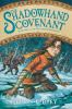 Book cover for "The Shadowhand Covenant"