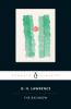 Book cover for "The rainbow"