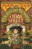 Book cover for "The magnificent monsters of Cedar Street"