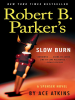 Book cover for "Slow Burn".