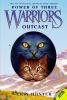 Book cover for "Outcast".