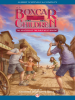 Book cover for "The Mystery of the Wild West Bandit".