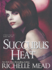 Book cover for "Succubus Heat".
