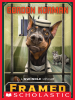 Book cover for "Framed".