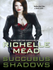 Book cover for "Succubus Shadows".