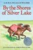 Book cover for "By the shores of Silver Lake"