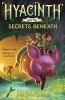 Book cover for "Hyacinth and the secrets beneath"