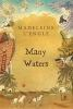 Book cover for "Many waters"