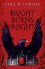 Book cover for "Bright burns the night".
