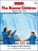 Book cover for "The Niagara Falls Mystery".