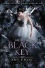 Book cover for "The Black Key".