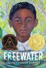 Book cover for "Freewater"
