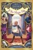 Book cover for "If the magic fits"