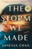 Book cover for "The storm we made"