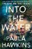 Book cover for "Into the water"