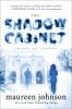 Book cover for "The shadow cabinet".