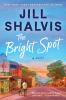 Book cover for "The bright spot".