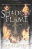 Book cover for "Shadow & Flame".