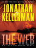 Book cover for "The web".