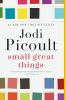 Book cover for "Small great things"