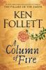 Book cover for "A column of fire".