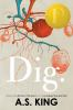 Book cover for "Dig"