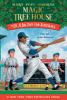 Book cover for "A big day for baseball".