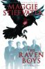 Book cover for "The Raven Boys".