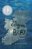 Book cover for "The carnival at Bray"