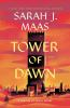 Book cover for "Tower of dawn".