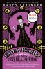Book cover for "The case of the cryptic crinoline".