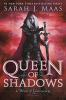 Book cover for "Queen of shadows".