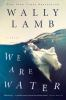 Book cover for "We are water"