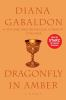 Book cover for "Dragonfly in amber".