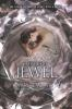 Book cover for "The Jewel".