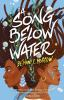 Book cover for "A song below water"