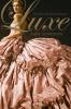 Book cover for "The luxe".