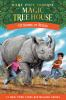 Book cover for "Rhinos at recess".