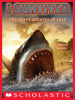Book cover for "I Survived the Shark Attacks of 1916".