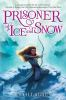 Book cover for "Prisoner of ice and snow"