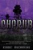 Book cover for "Maximum security".