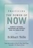 Book cover for "Practicing the power of now"