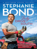 Book cover for "Baby, Drive South".