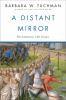 Book cover for "A distant mirror"