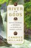 Book cover for "River of the gods"