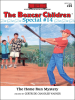 Book cover for "The Homerun Mystery".